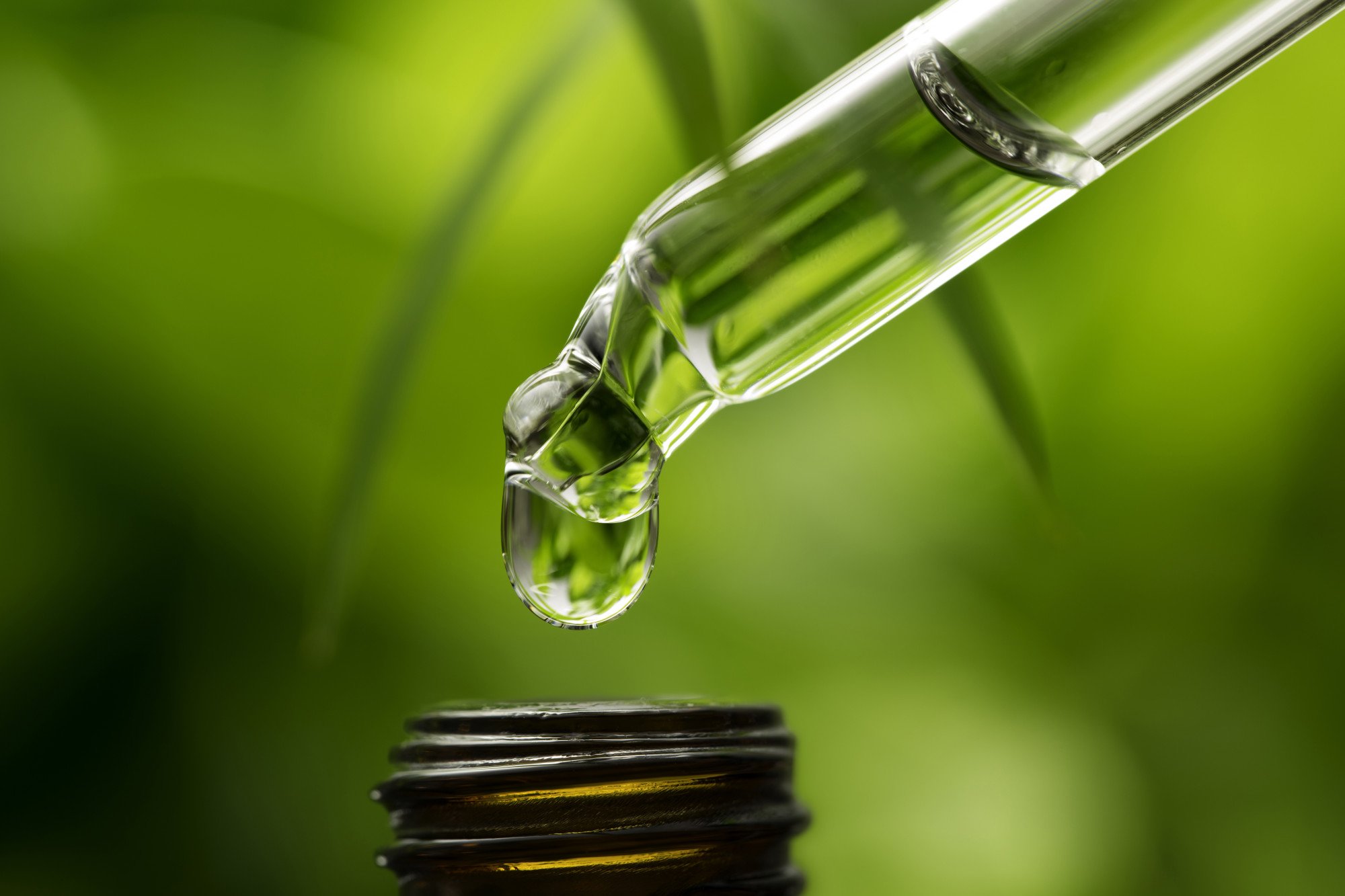 Cannabis Tincture vs Edible: Which Is Best for You?