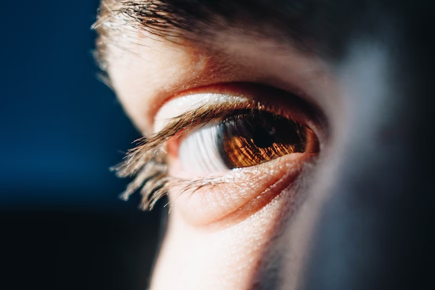 6 Good Habits to Safeguard Your Eyes During Day and Night
