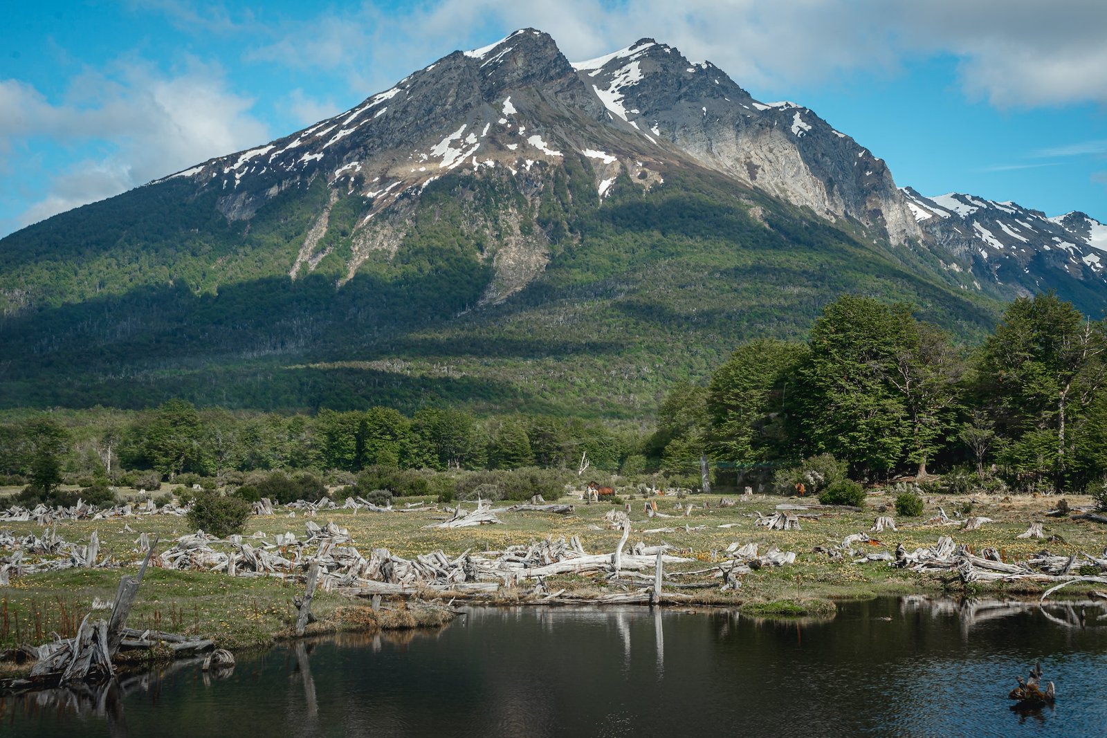 5 Things You Can Do at the Great Smoky Mountains National Park