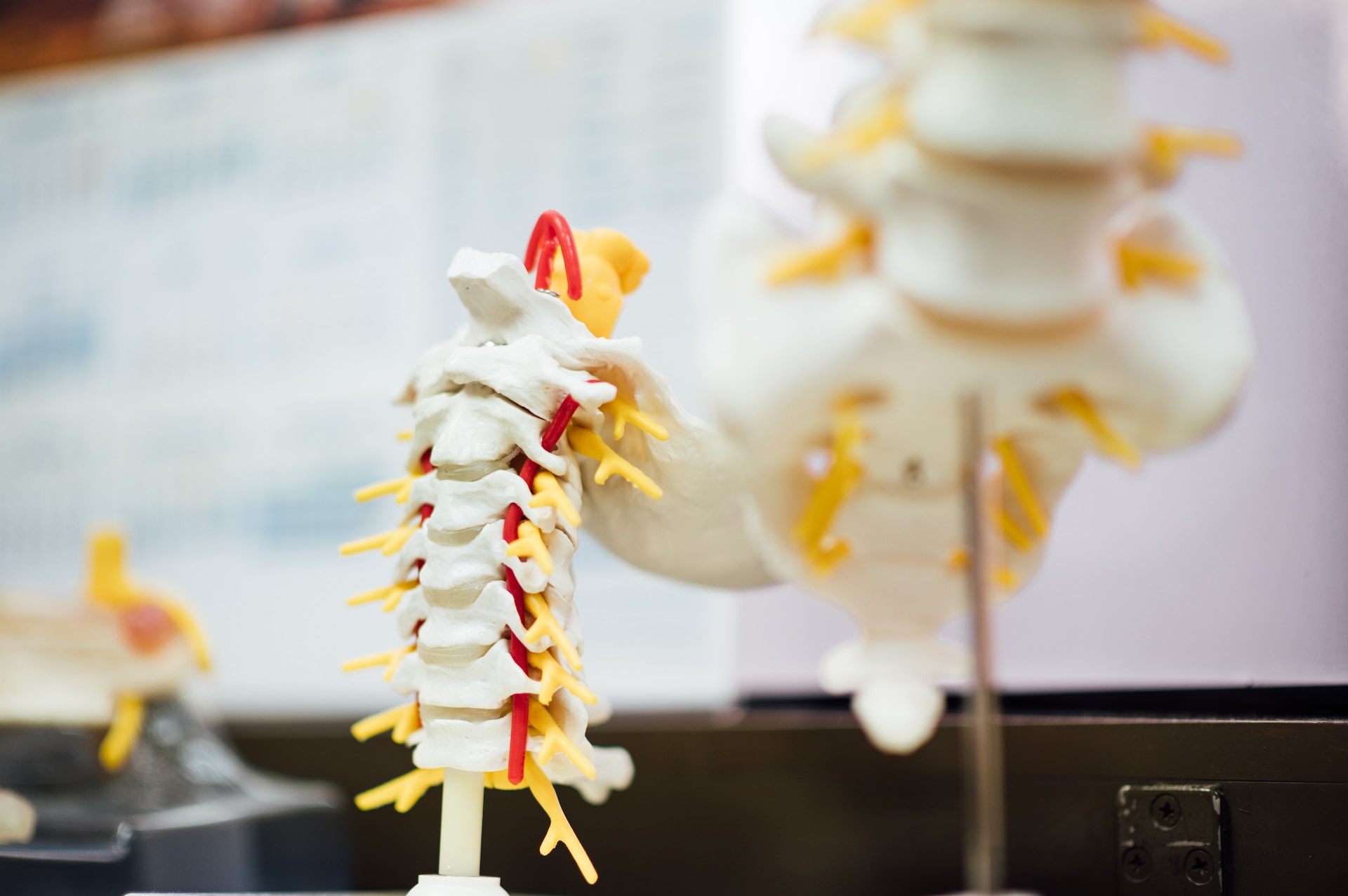 How Chiropractors Can Reduce Joint Pain and Inflammation
