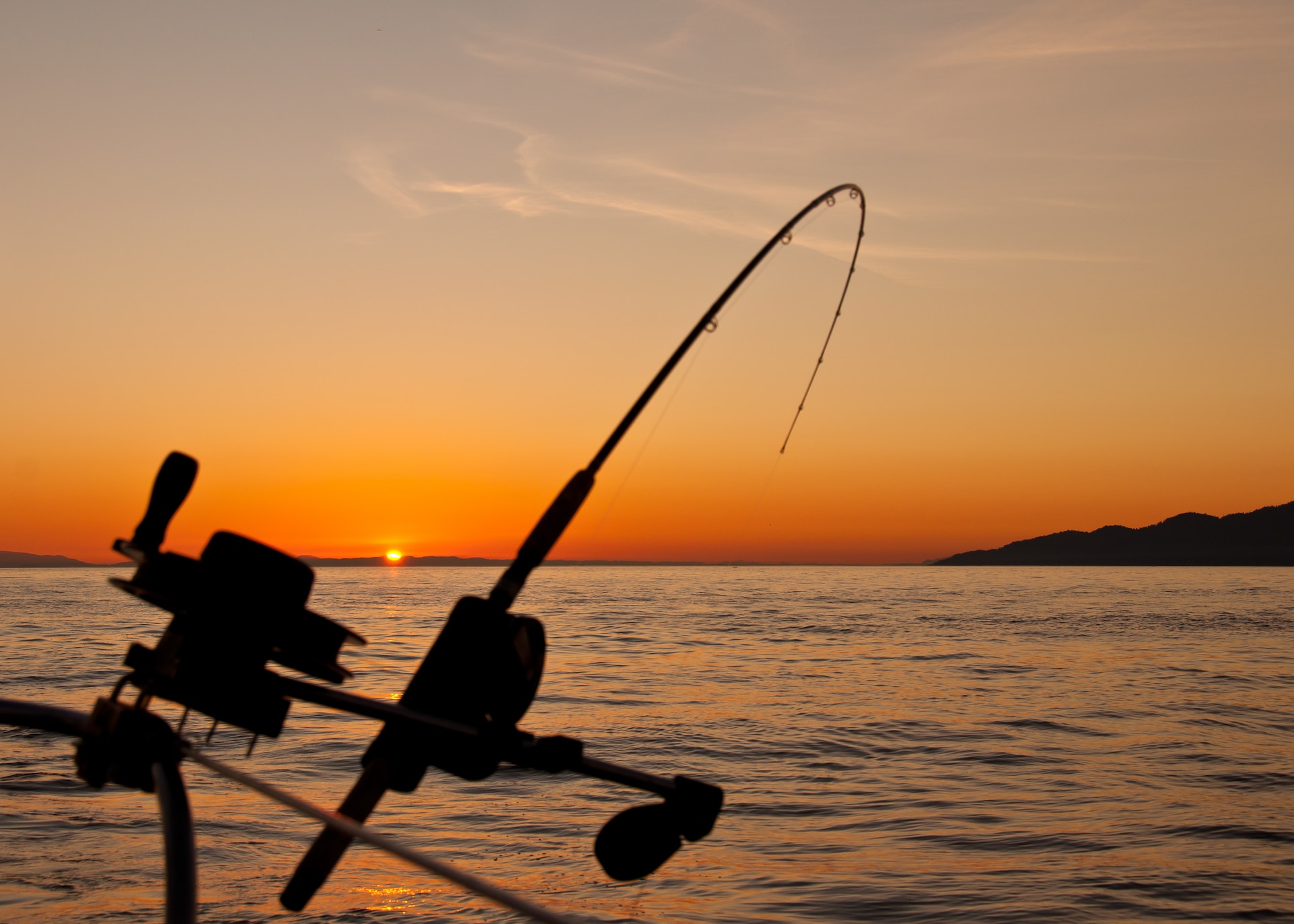 Unleash Your Inner Adventurer: Big Game Fishing