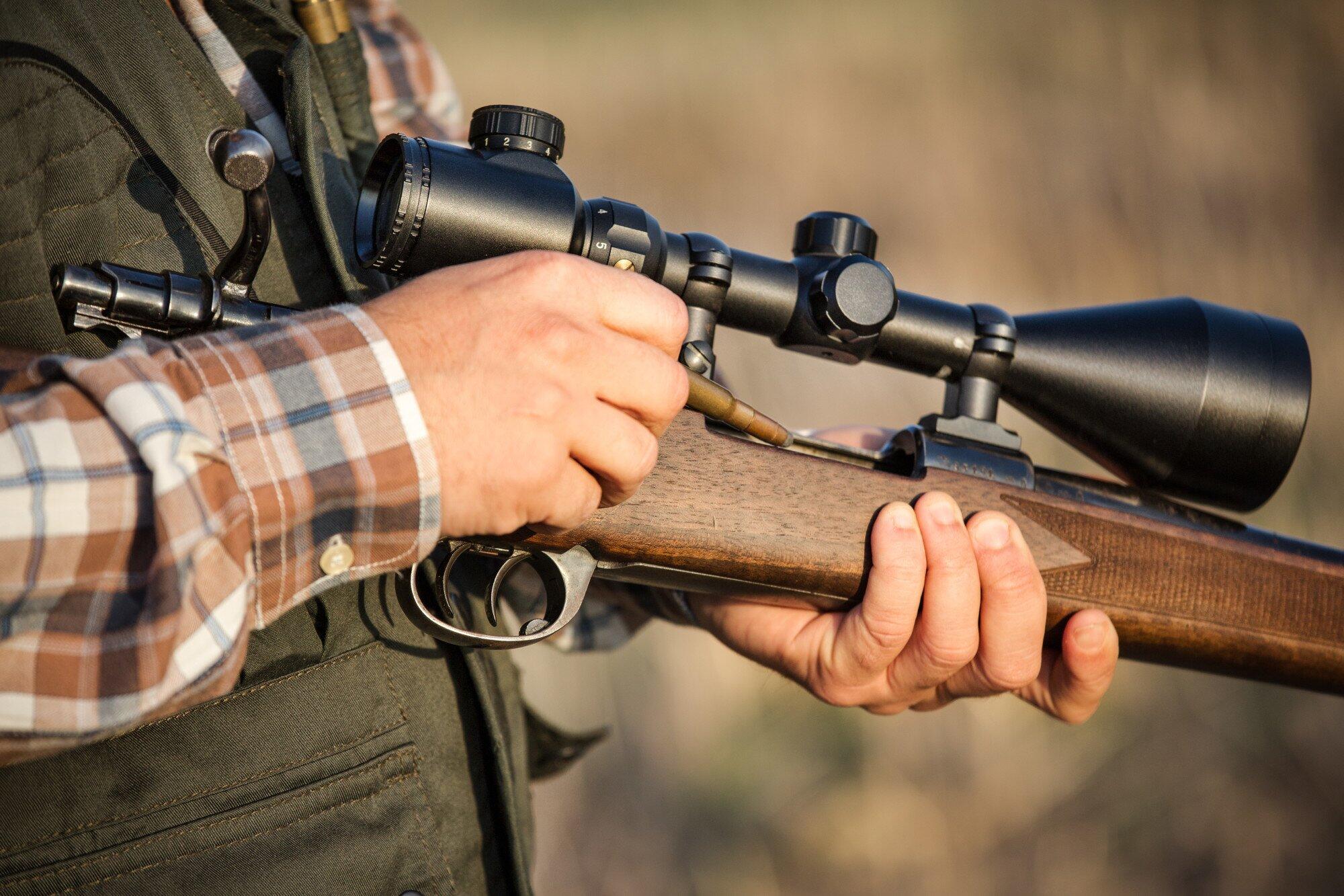 The 5 Best Bolt Action Rifle for Hunting Game