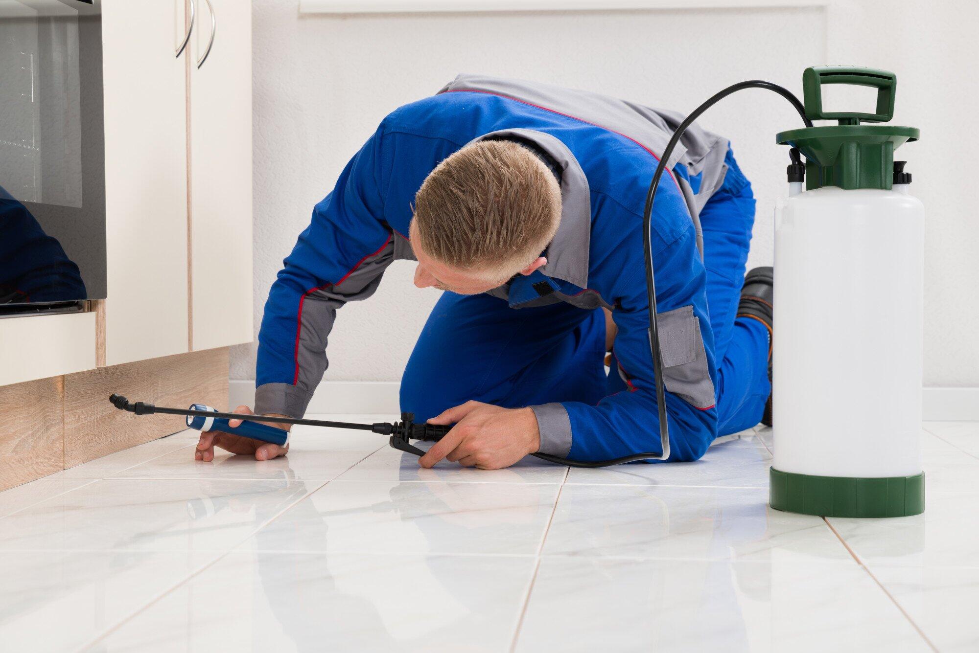 Tips for Choosing the Right Building Pest Inspection Company