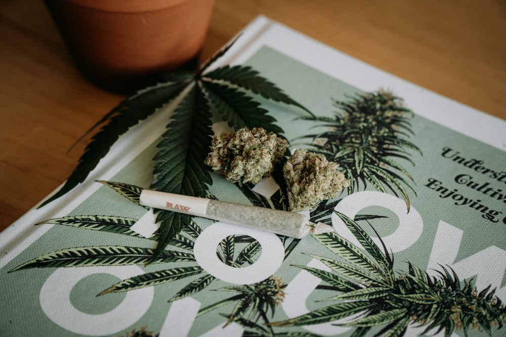 How Different Cannabis Varieties Impact Well-Being: A Closer Look