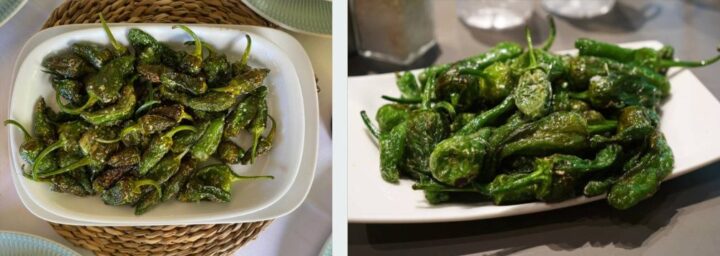 What are Padrón peppers called in Spain?