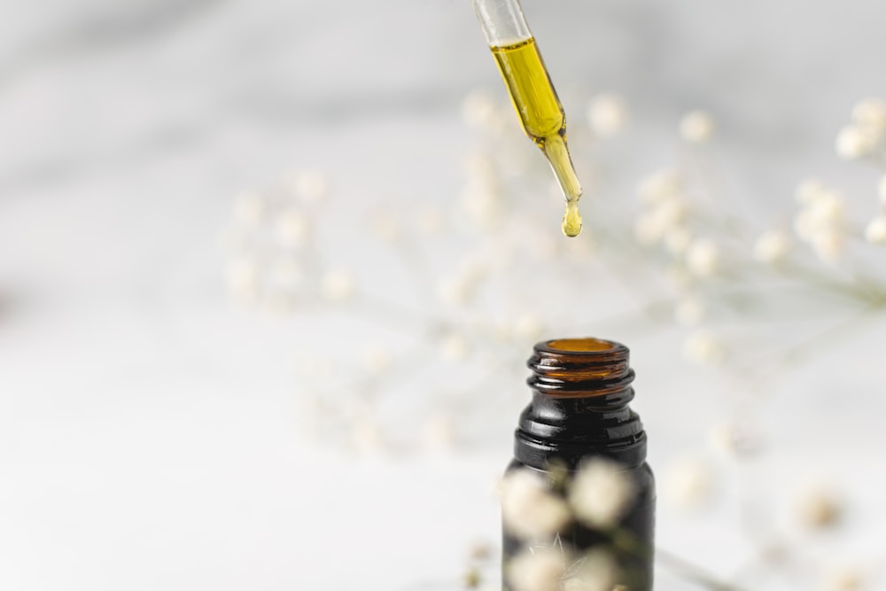 CBD and the Endocannabinoid System: Exploring the Connection For Pain Relief