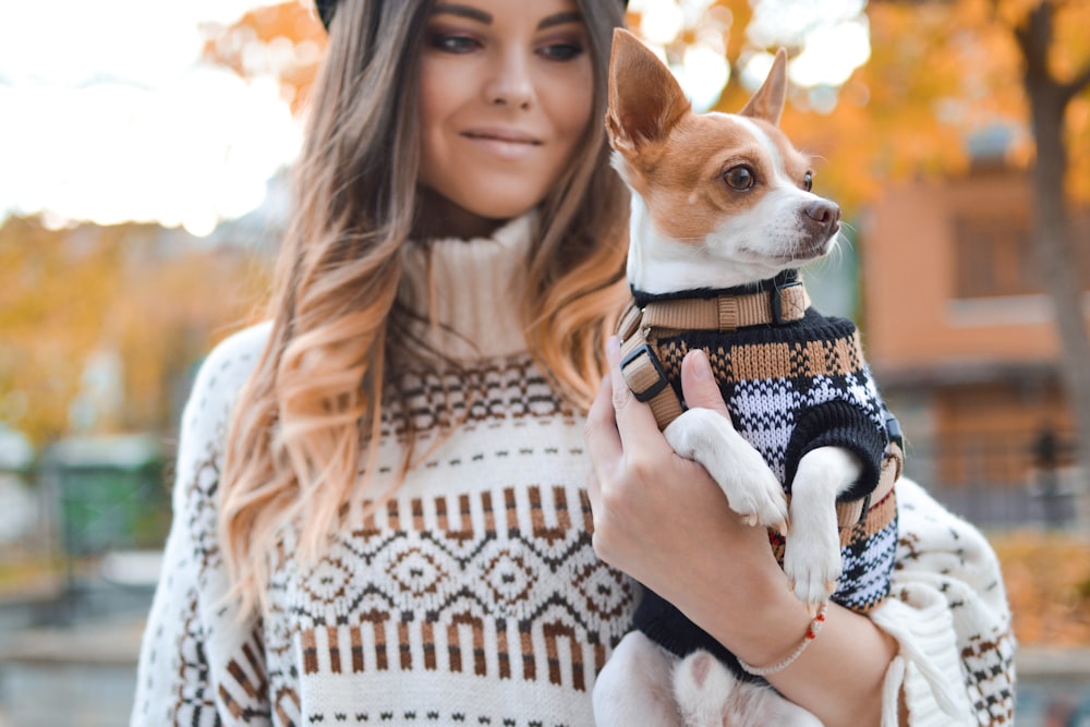 Top Reasons to Invest in Luxury Dog Accessories