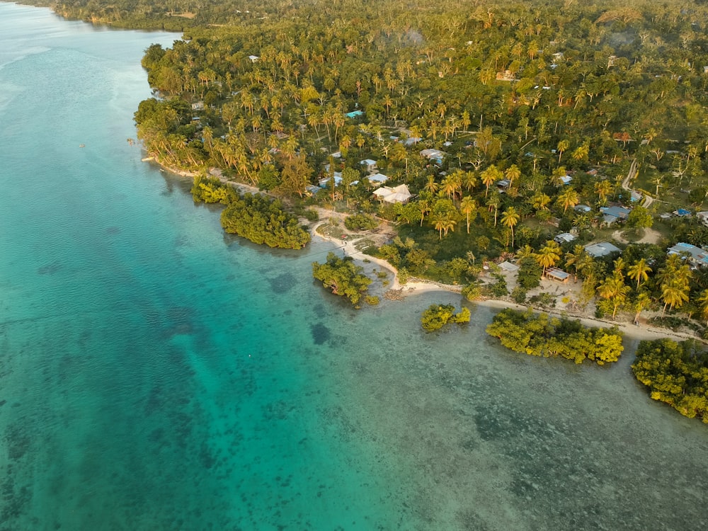 Island Living: Exploring Citizenship in Vanuatu