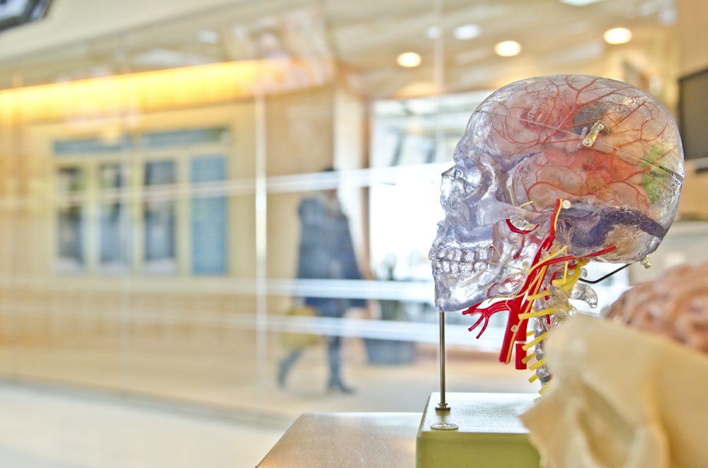 Tips for Finding the Best Personal Injury Attorney for Brain Injury Cases