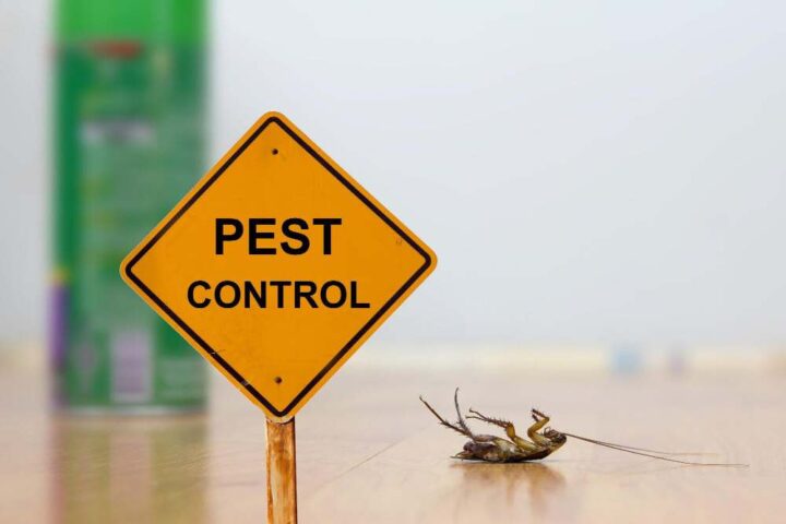 Emergency Pest Control Services