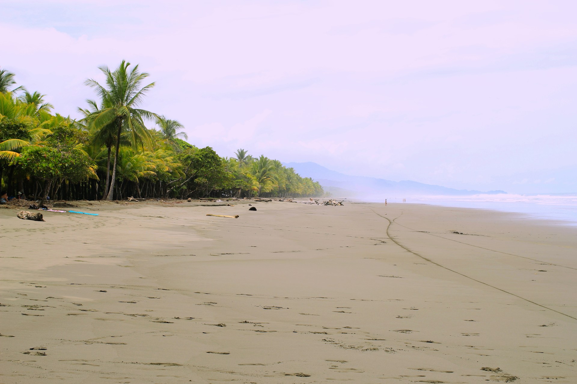 Discovering Costa Rica’s Hidden Gem: The Osa Peninsula