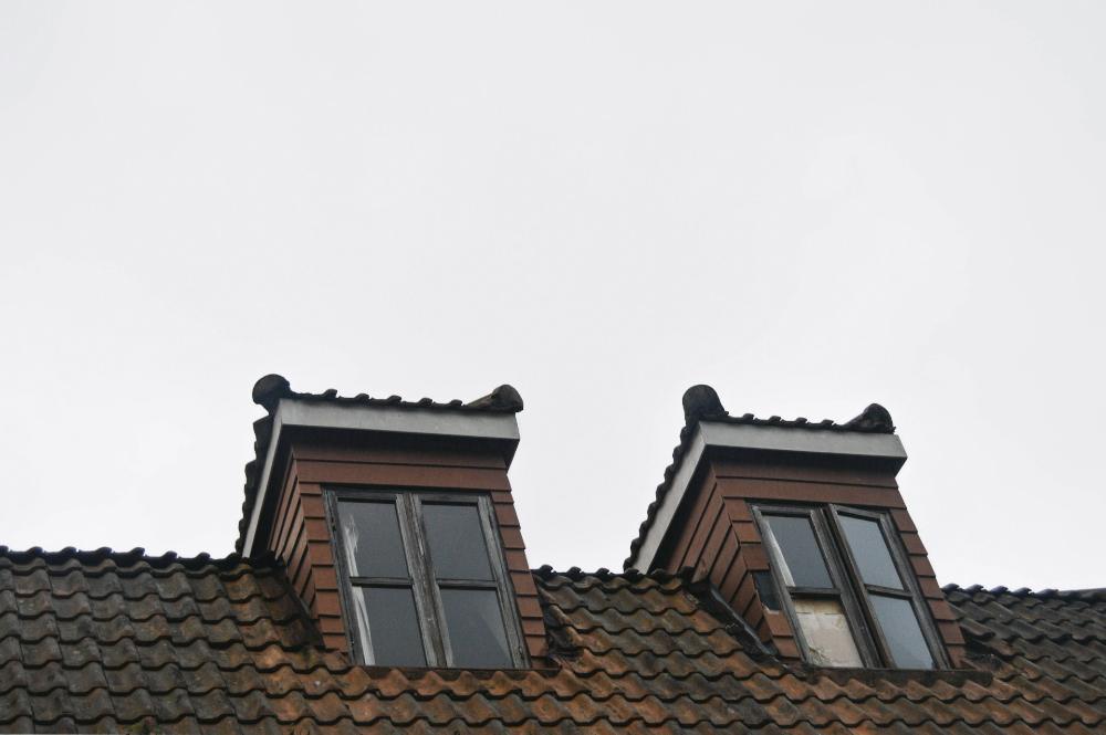 Common Roofing Issues and How to Address Them