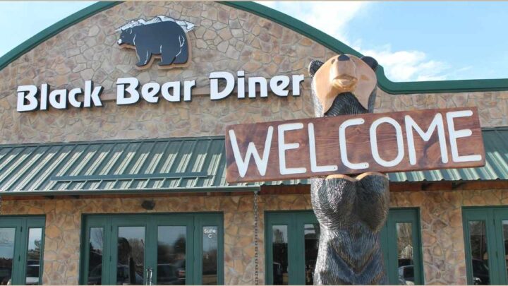 Does Black Bear Diner Serve Breakfast All Day