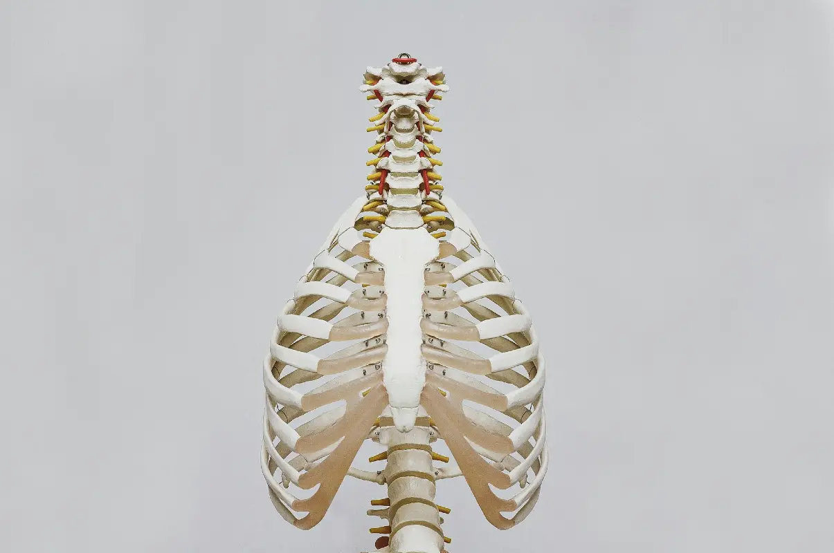 What Should You Expect from Osteoporosis Classes?