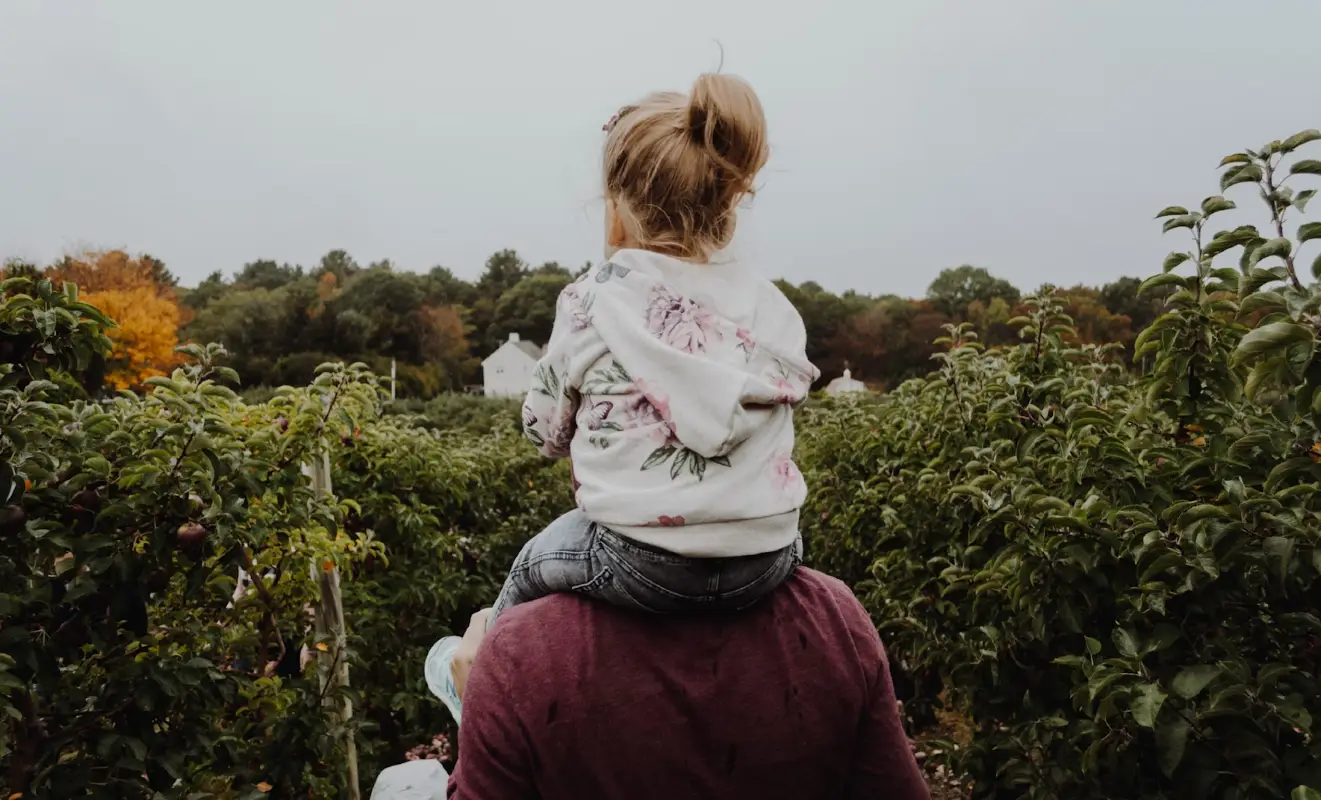 Understanding Child Custody Laws: A Comprehensive Guide for Parents