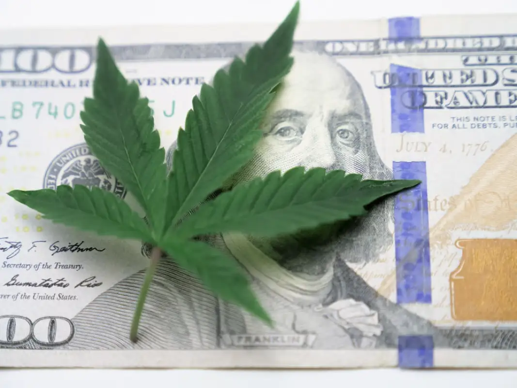 From Bud to Blockchain: Why Cannabis and Crypto Are the Ultimate Power Couple