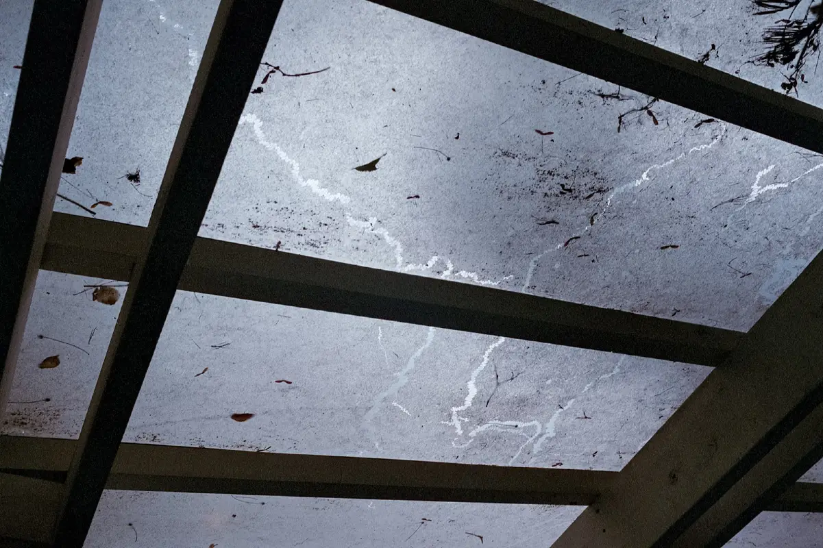 Signs It’s Time to Replace Your Conservatory Roof