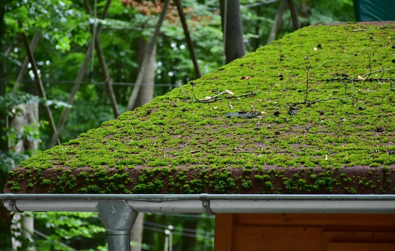Maximizing Property Value with Expert Gutter Installation Services