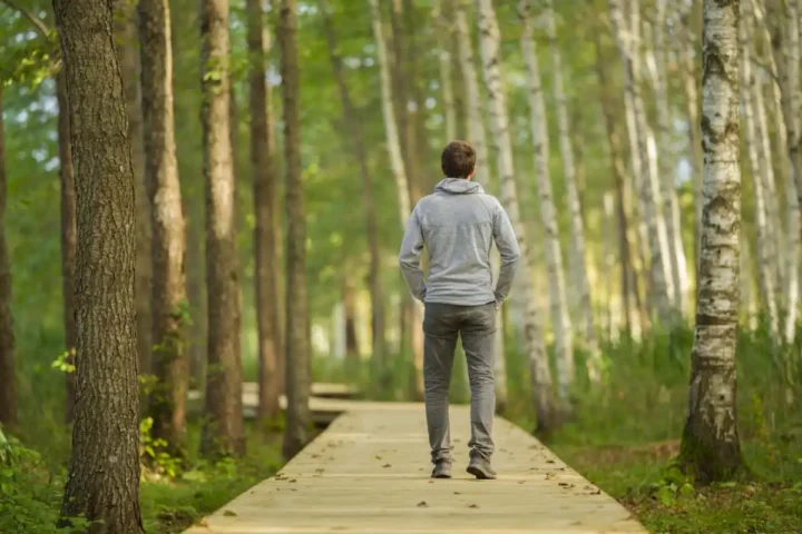 person walking along wooden boardwalk through forest
